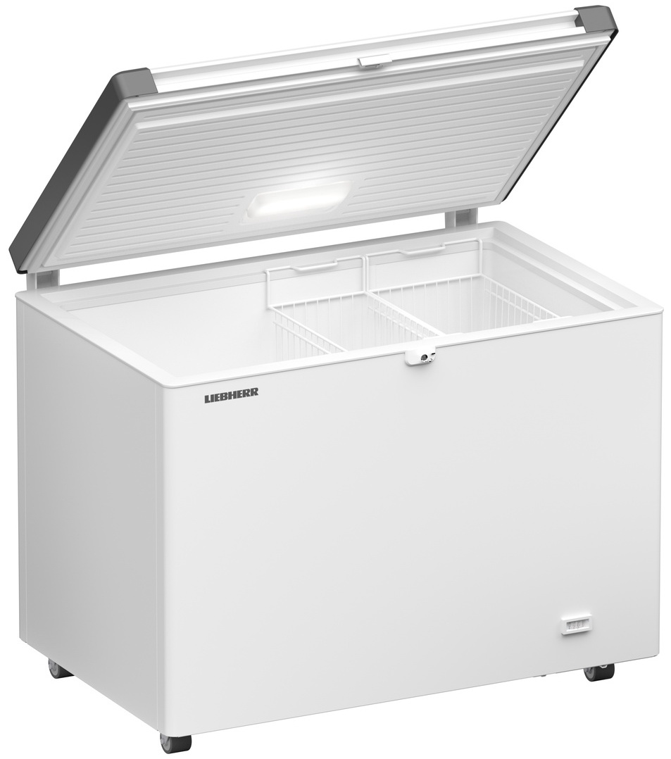 картинка Морозильная камера Liebherr EFL 3055-21 001 