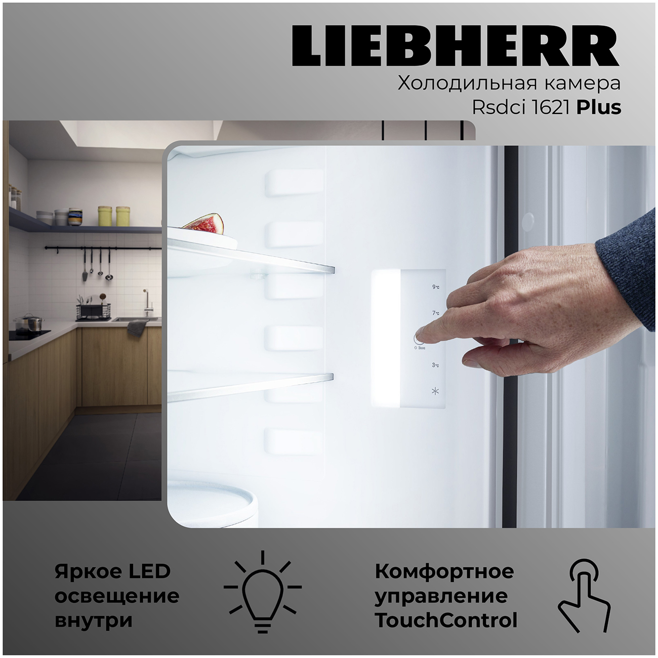 картинка Отдельностоящий холодильник Liebherr Rsdci 1621-20 001  картинка Отдельностоящий холодильник Liebherr Rsdci 1621-20 001