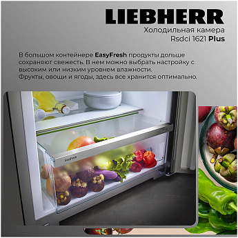 картинка Отдельностоящий холодильник Liebherr Rsdci 1621-20 001  картинка Отдельностоящий холодильник Liebherr Rsdci 1621-20 001