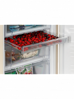 картинка Отдельностоящий холодильник Nord NRB 154 E 