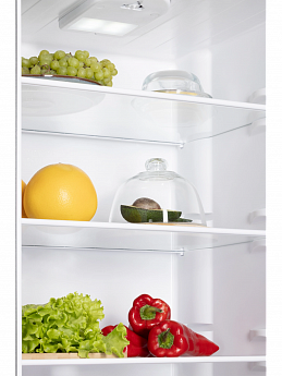 картинка Отдельностоящий холодильник Nord NRG 152 DTM титан 